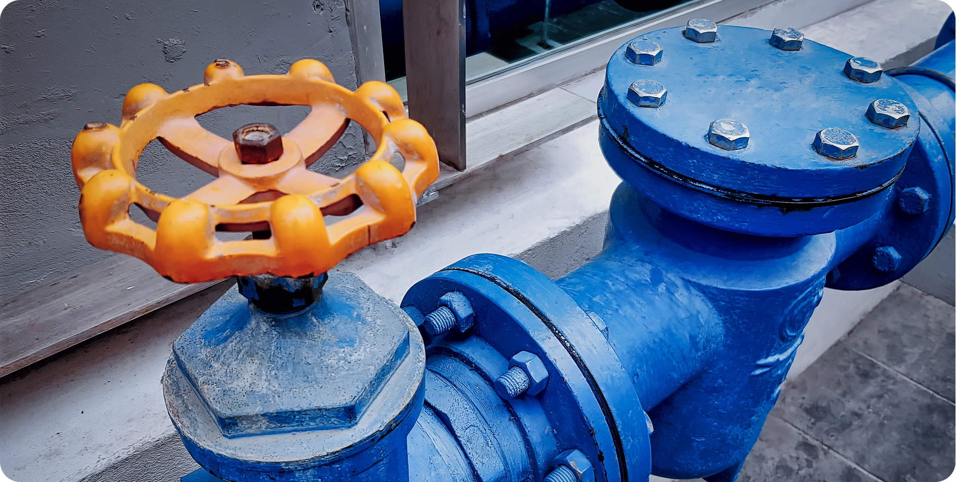 Reliable Sewage Services in Fairy Meadow